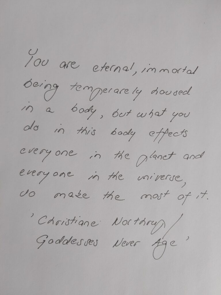 Satu Vuorjoki voimalausa